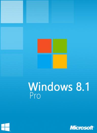 Windows 8.1 Professional OEM